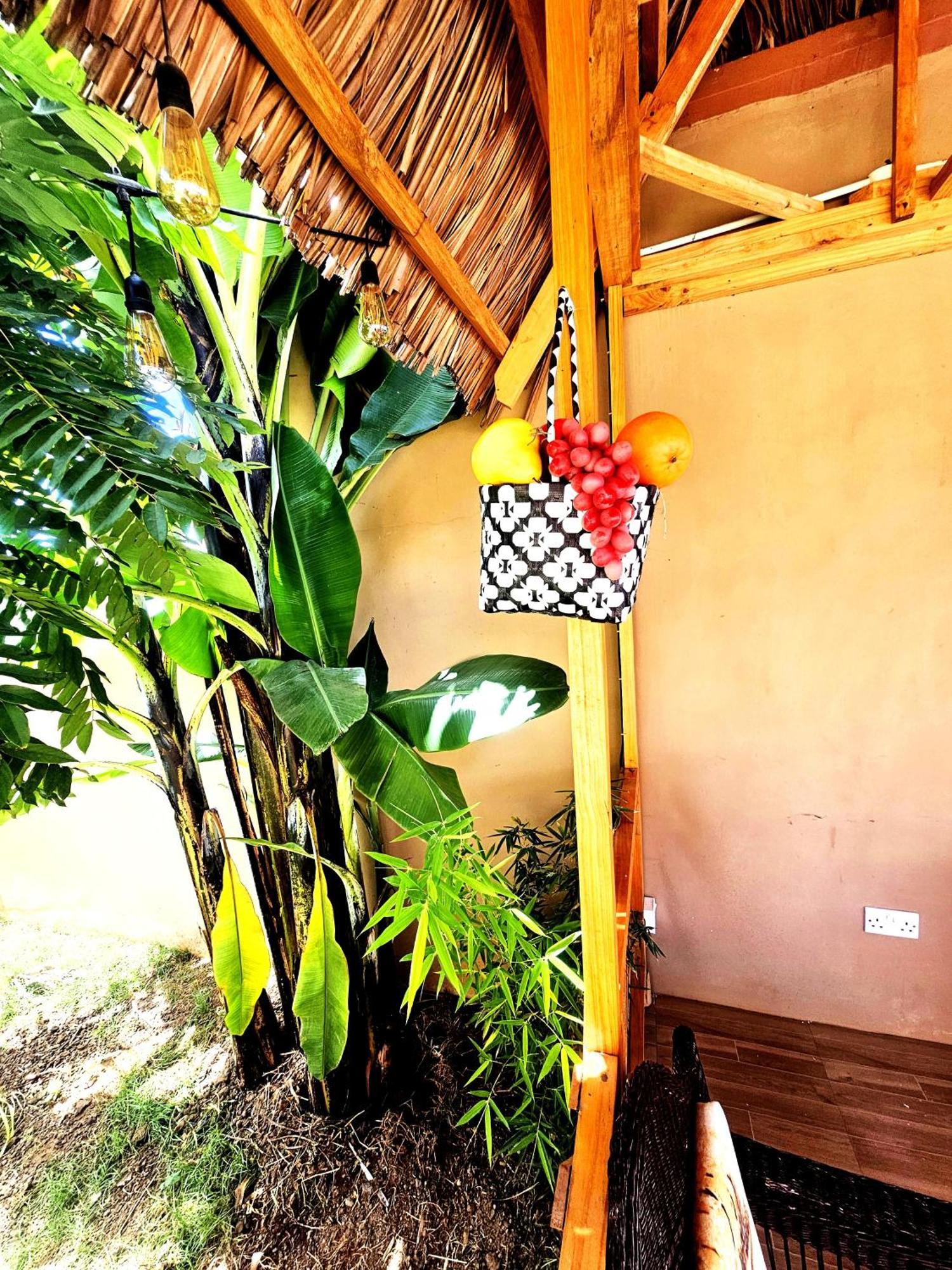 Safi House Bed and Breakfast Boma la Ngombe Eksteriør billede